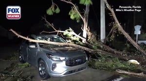 Watch: Widespread tree damage, power outages around Pensacola, Florida, following Isaias' landfall