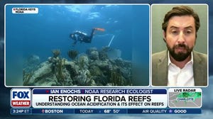 NOAA researchers working to understand and protect Florida coral reefs