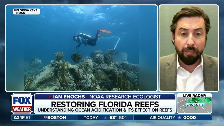 NOAA researchers working to understand and protect Florida coral reefs