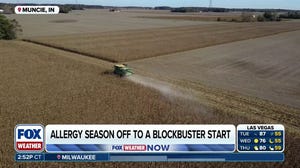 Allergy season is off to a blockbuster start