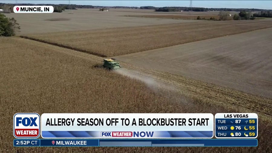 Allergy season is off to a blockbuster start