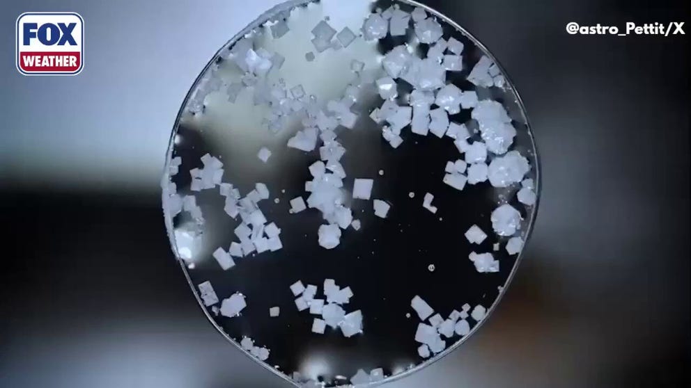 Don Pettit, a NASA astronaut aboard the International Space Station, conducted a science experiment growing potassium chloride crystals. The crystals developed an unusual structure not seen on Earth typically called "hopper growth".