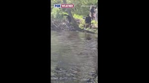 Watch: People fight off rabid beaver in New Jersey park