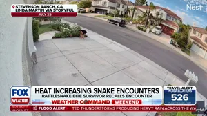 California woman recounts scary experience after being bitten by rattlesnake