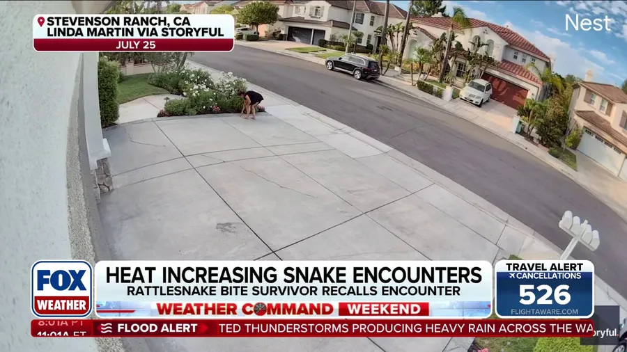 California woman recounts scary experience after being bitten by rattlesnake