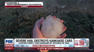 Illinois resident recalls historic hail that damaged cars, home