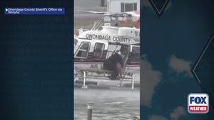 Watch: Dog shivers after harrowing skid rescue from frigid New York river