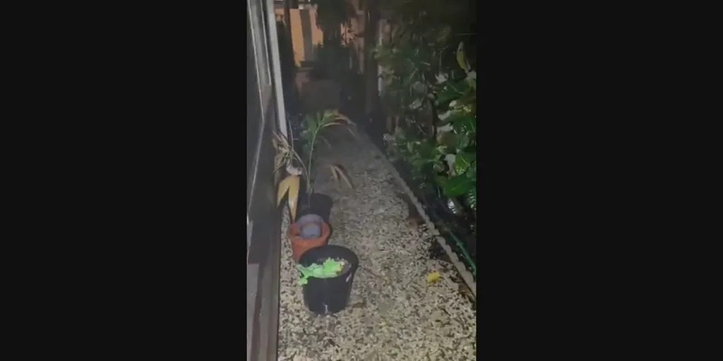 Watch Heavy rain falls over Ewa Beach on Oahu Latest Weather Clips