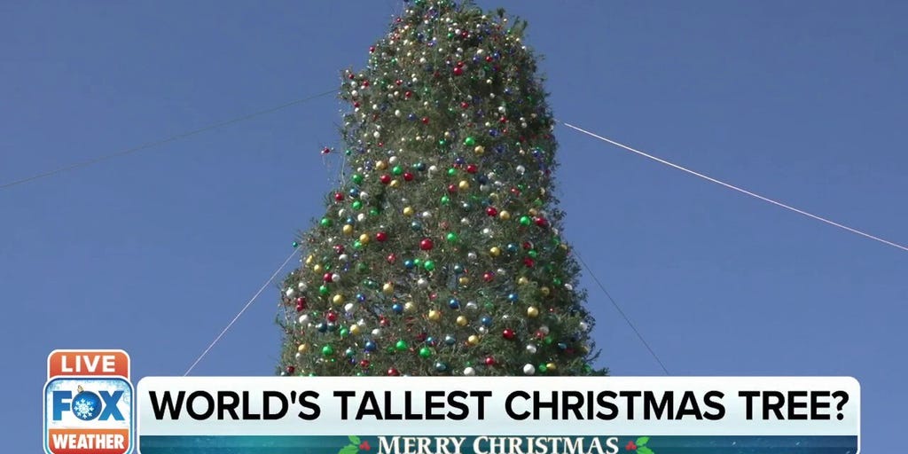 the tallest christmas tree in the world