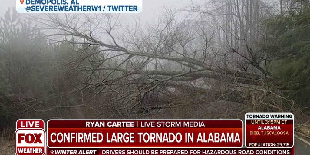 Large tornado in Alabama causes extensive damage Latest Weather Clips