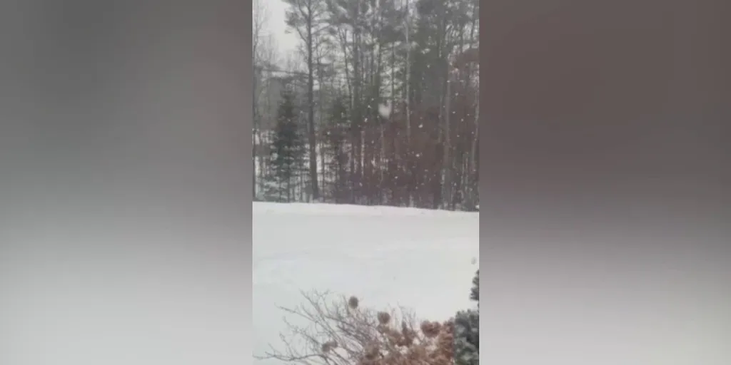 Winter storm dumps snow on Durham, Maine Latest Weather Clips FOX