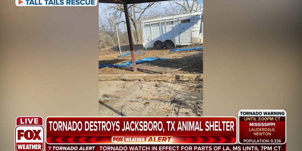 ABC News crew helps rescue trapped dog in tornado-ravaged Texas