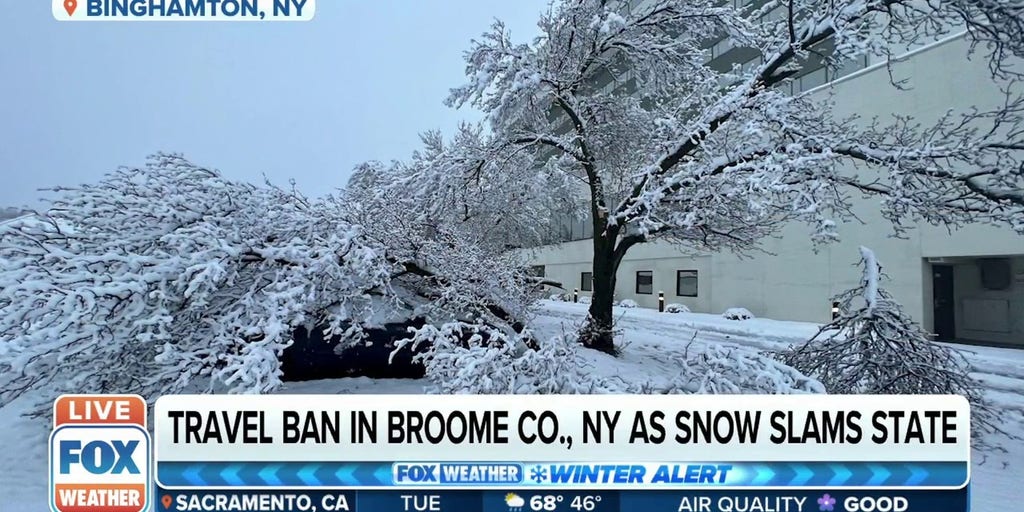 broome county travel ban today