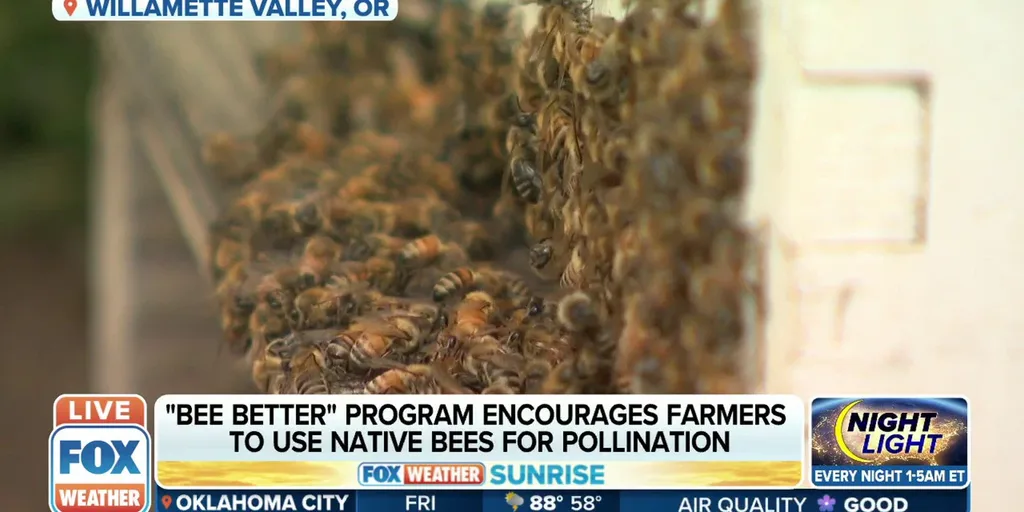 Vegetation helps wild honeybees survive the winter •