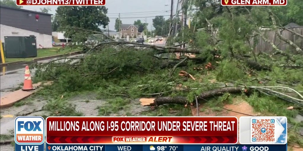 Severe Storm Brings Down Trees, Power Lines In Glen Arm, MD | Latest ...