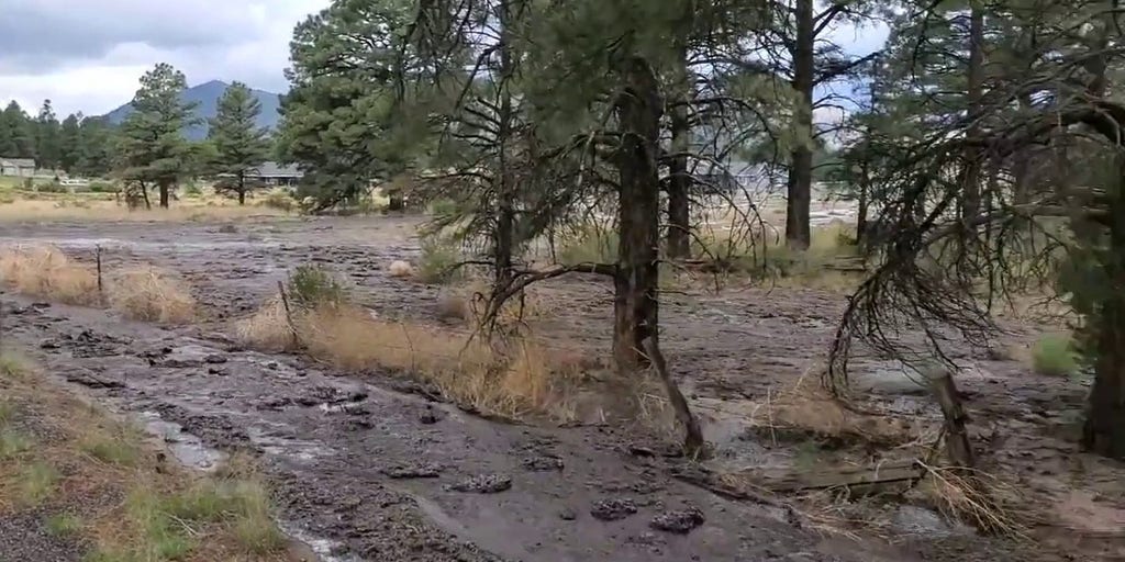 Flooding takes over road in Flagstaff, AZ Latest Weather Clips FOX