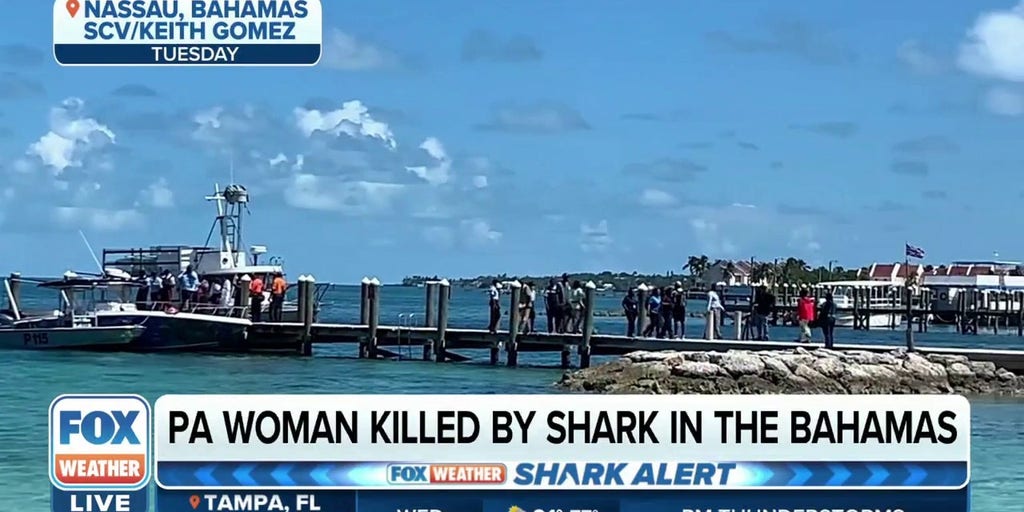 Pennsylvania Woman Killed By Shark While Snorkeling In The Bahamas Latest Weather Clips Fox