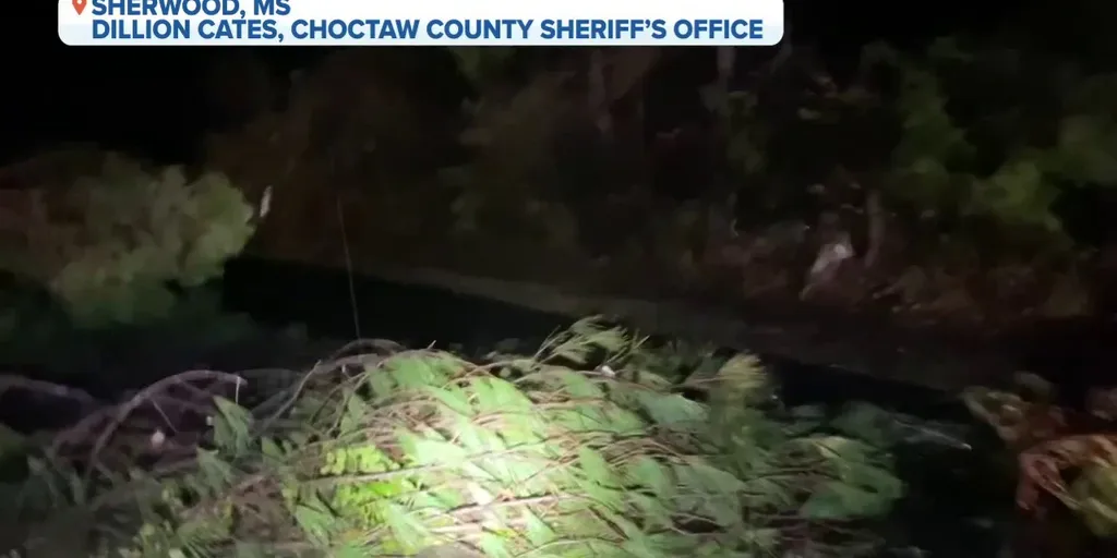 Storm damage in Sherwood, Mississippi Latest Weather Clips FOX Weather