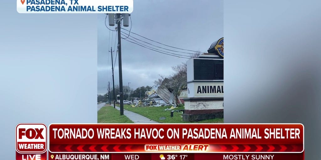 Tornado wreaks havoc on Pasadena Animal Shelter | Latest Weather Clips |  FOX Weather