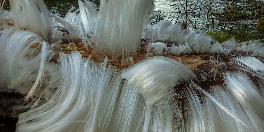 Watch Time lapse video shows formation of "hair ice" in Washington Latest Weather Clips FOX