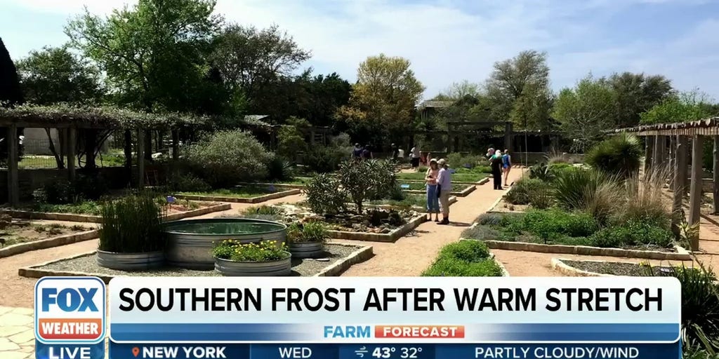 Weather hasn't impacted spring bloom in Texas this year Latest