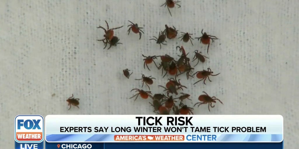Tick season is here Mild winter leads to more ticks, higher risk