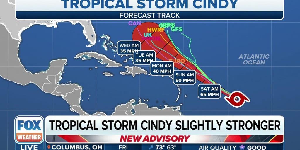 Tropical Storm Cindy gains strength with 50 mph winds Latest Weather