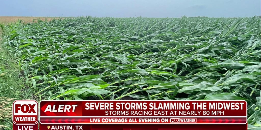 How the Rain-Soaked Midwest Will Crush the Corn Crop and Send Prices  Jumping - TheStreet