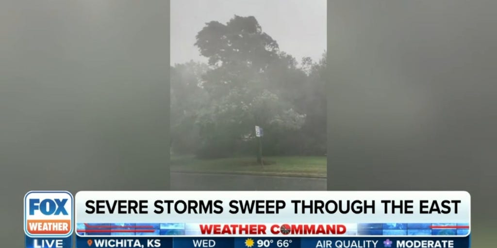 Woman dies after tree falls onto car in North Carolina | Latest Weather Clips | FOX Weather