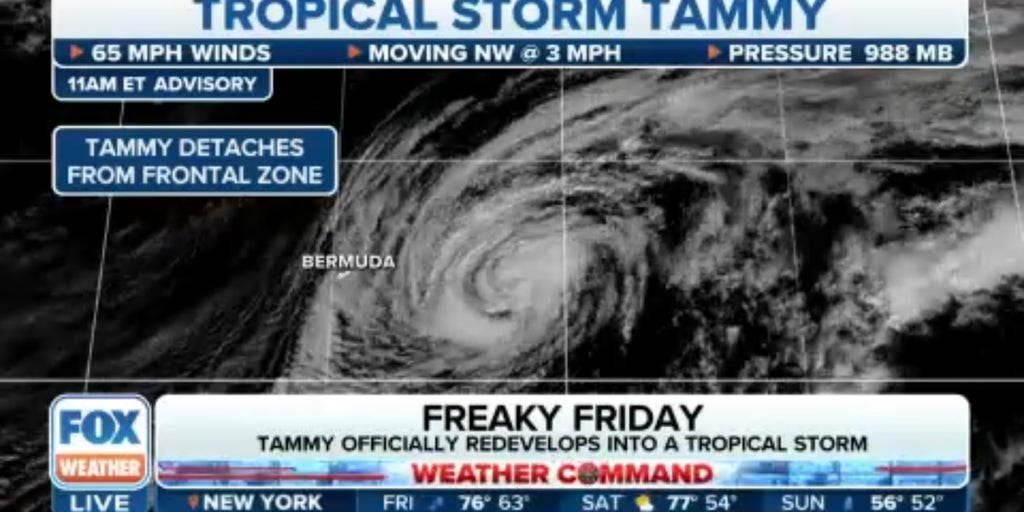 Tammy redevelops into tropical storm | Latest Weather Clips | FOX Weather