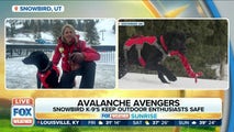 These K-9s keep outdoor enthusiasts safe from avalanche dangers