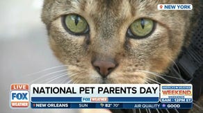 National Pet Parents Day