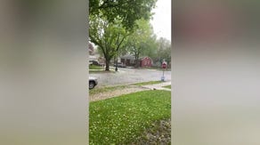 Watch: Hail damages trees in east central Minnesota