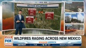Hermits Peak/Calf Canyon Fire burns more than 310,000 acres