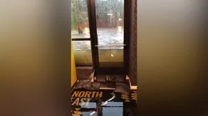 Flood waters surround dog daycare facility in Washington, D.C.