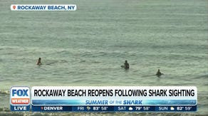 Rockaway Beach in New York reopens after shark sighting on Thursday