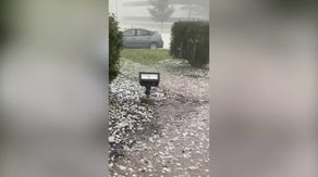 Iowa hailstorm takes down tree leaves, turns ground white