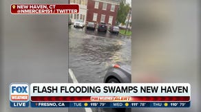 Flash flooding swamps University of New Haven