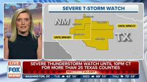 Severe Thunderstorm Watch issued for parts of New Mexico and Texas