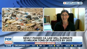 California governor signs new law that aims to end ocean plastic pollution