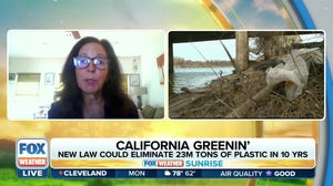 New California law could eliminate 23 million tons of plastic in 10 years