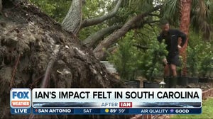 Hurricane Ian damaged piers, felled trees in South Carolina