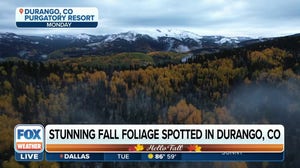 Stunning fall foliage spotted in Colorado