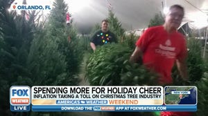 Inflation takes toll on Christmas tree industry
