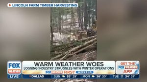 Unseasonably warm winter a woe to loggers