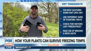 Tips to help your seedlings survive big temperature swings