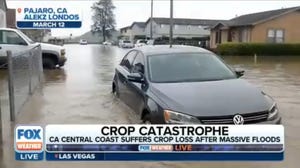Central California suffers crop loss due to major flooding