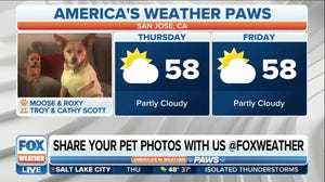 America's Weather Paws | March 23