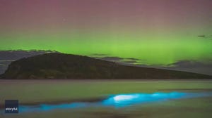 Watch: Time lapse video shows vibrant aurora dancing above bioluminescent water in Australia