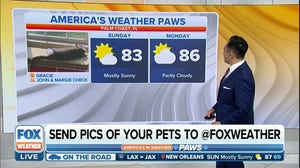 America's Weather Paws | May 28